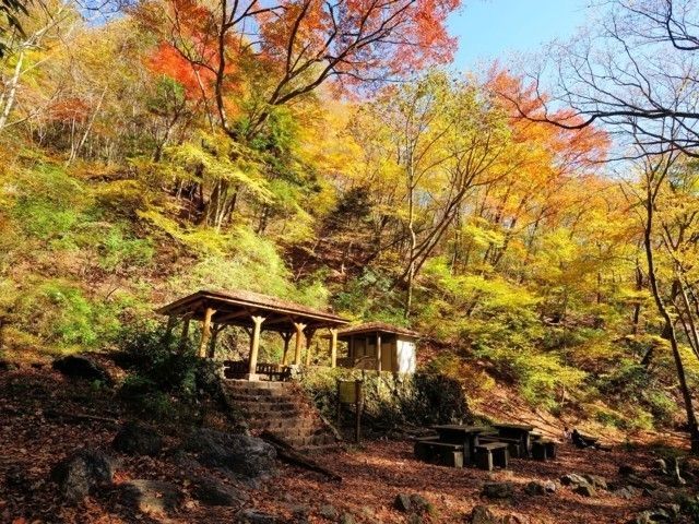 御岳山の紅葉 紅葉情報22