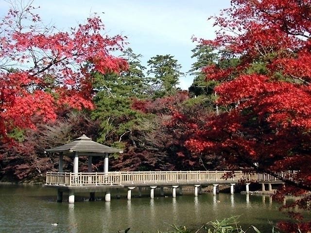 岡崎市東公園の紅葉 紅葉情報22