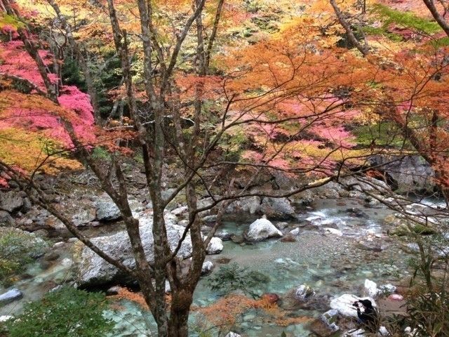 小田深山渓谷の紅葉 紅葉情報22