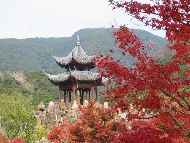 冠岳の紅葉 紅葉情報22