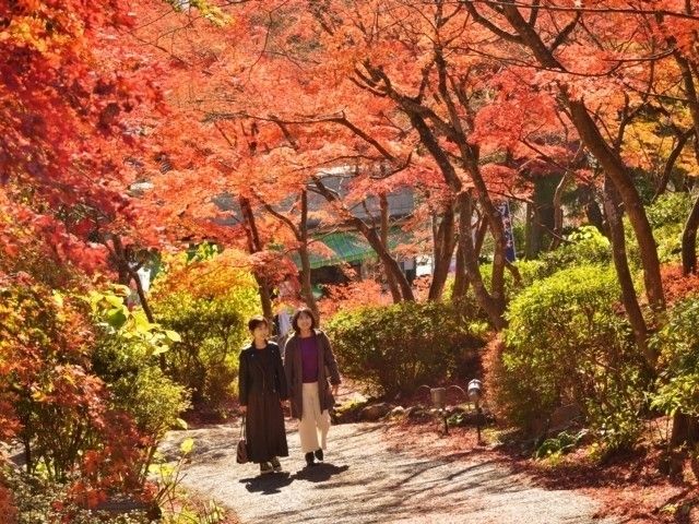 筑波山