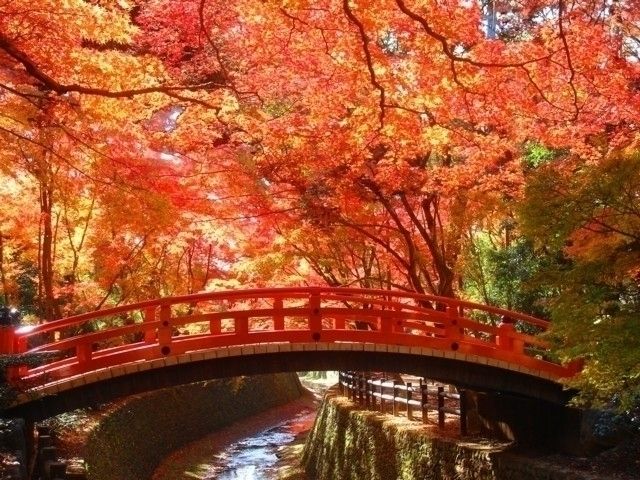 北野天満宮