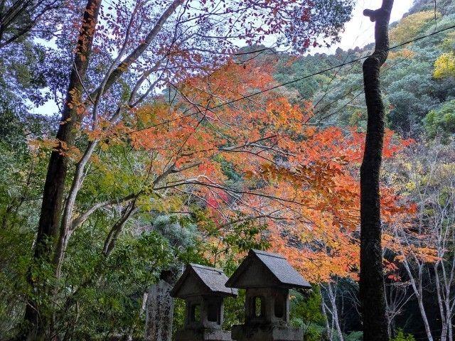 犬鳴山
