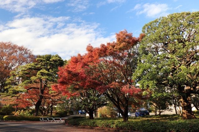 皇居東御苑