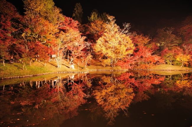 用作公園の紅葉 紅葉情報21