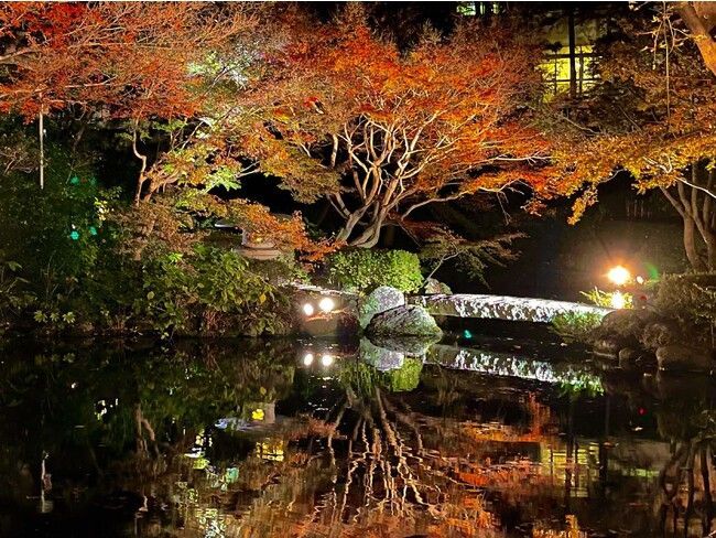 品川区立池田山公園でライトアップイベント