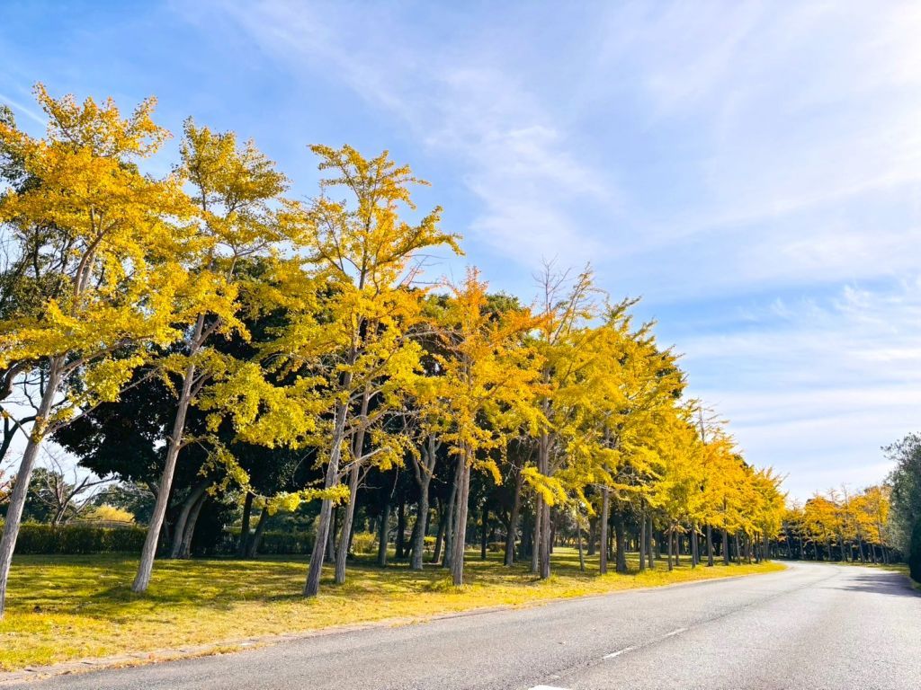 国営海の中道海浜公園