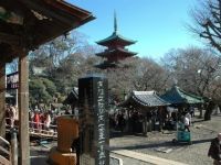 大本山中山法華経寺の初詣