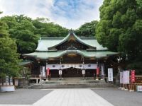 大宮八幡宮の初詣