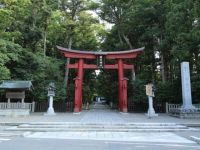 彌彦神社の写真