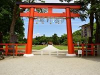 上賀茂神社の写真