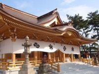 岸城神社の初詣の写真