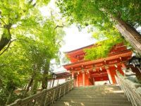 住吉神社の写真