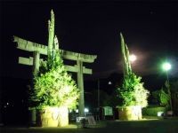 橘神社の初詣の写真