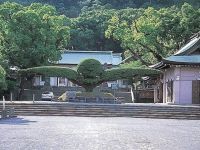 照國神社の初詣