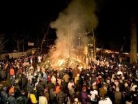 大崎八幡宮の写真