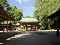 川越氷川神社の写真