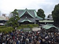 柴又帝釈天（題経寺）の写真