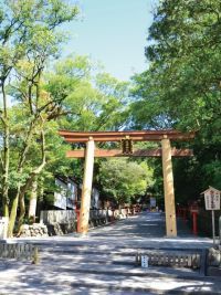 枚岡神社の写真
