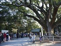 伊曽乃神社の写真