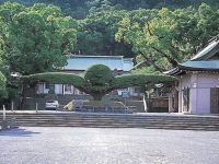 照國神社の初詣