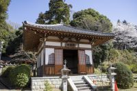 安倍文殊院の写真