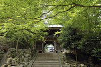 大窪寺の写真