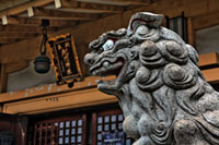紀州神社の写真