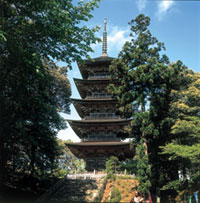 妙成寺の写真