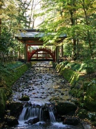 彌彦神社の写真３