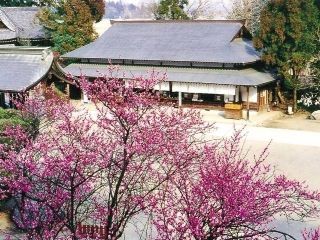 大前神社・大前恵比寿神社の写真４