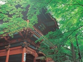 五徳山水澤寺の写真３