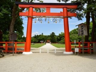 上賀茂神社の写真１
