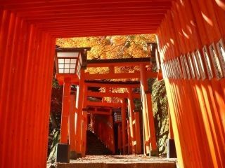 太皷谷稲成神社の写真２