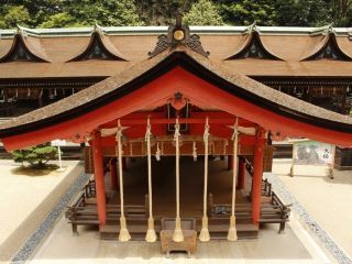 住吉神社の写真２