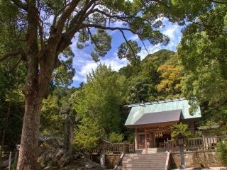 安房神社の写真１