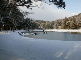 毛越寺の写真４