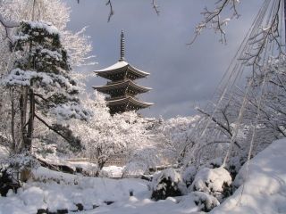 極楽山西方寺（定義如来）の写真２