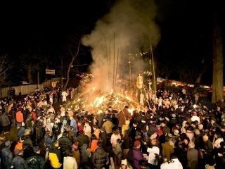 大崎八幡宮の写真1