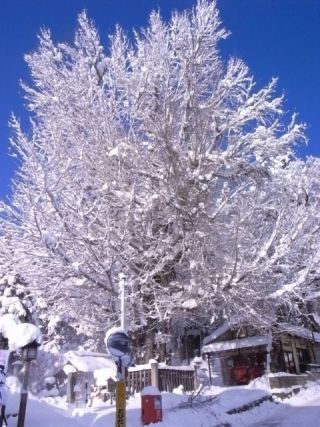 熊野大社（山形県）の写真２