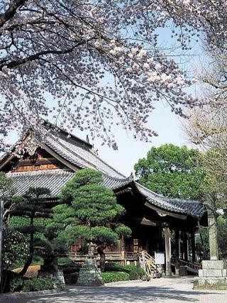 鑁阿寺の写真４