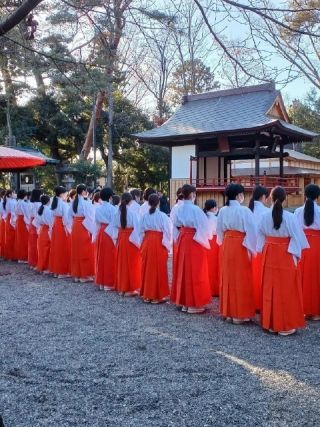 玉村八幡宮の写真３