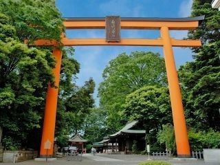 川越氷川神社の写真２
