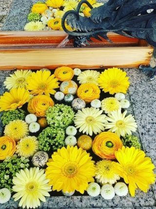 川越八幡宮の写真４