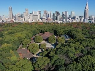 明治神宮の写真２