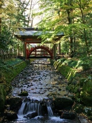 彌彦神社の写真３