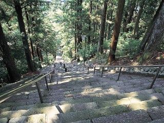 身延山久遠寺の写真4