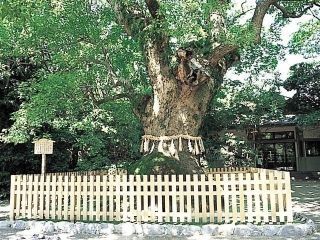 熱田神宮の写真３