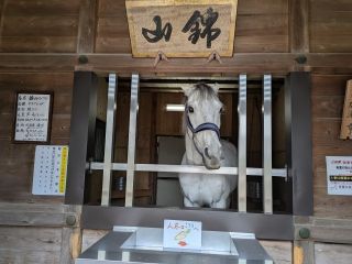 多度大社の写真２