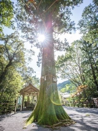 頭之宮四方神社の写真2